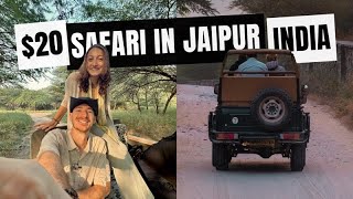 India Diaries  20 Leopard Safari in Jaipur India [upl. by Fredella]