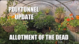 Polytunnel Update [upl. by Tav]