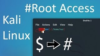 How to SET Default Terminal Root Skip Typing sudo su Every Time  Kali Linux [upl. by Ardnyk854]