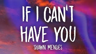 Shawn Mendes  If I Cant Have You Lyrics [upl. by Nnaik]