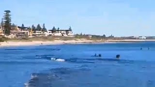 COTTESLOE BEACH PERTH WESTERN AUSTRALIA [upl. by Zipporah798]