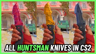 ★ HUNTSMAN KNIFE All Skins  CS2 InGame 4K [upl. by Merwyn271]