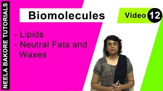 Biomolecules  NEET  Lipids  Neutral Fats and Waxes  Neela Bakore Tutorials [upl. by Bullough156]