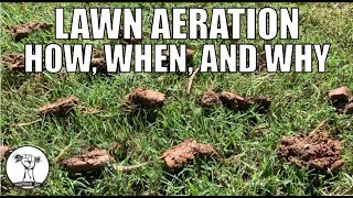 How to Aerate a Lawn  How Why and When to Aerate  Lawn Aeration [upl. by Norby168]