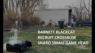 Barnett Blackcat Crossbow Snaro Small game head [upl. by Mayhs612]