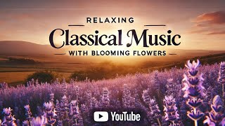 Relaxing Classical Music with Blooming Flowers [upl. by Eppes470]