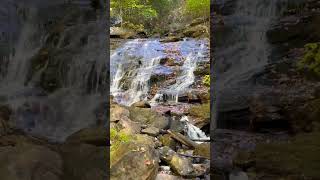 Amicalola Falls Georgia 🇺🇸 travel mountains blueridgemountains georgia usa waterfall [upl. by Leopold]