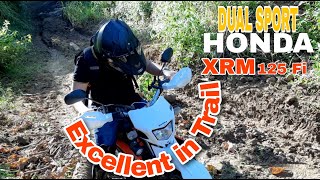 HONDA XRM 125 Fi  Excellent In Trail SEVEN DUAL SPORT [upl. by Toshiko]