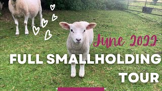 Full Smallholding TOUR  June 2022  UK Homestead [upl. by Aisiram]