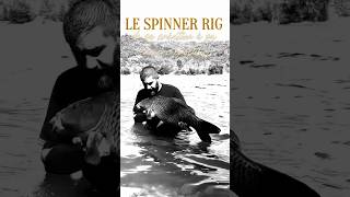 LE SPINNER RIG de A à Z spinner carpfishing fishing carp angler montage catchandrelease [upl. by Tandi]