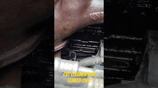 Mind Blowing Cleaning Hack for Removing Stubborn Oils Fast [upl. by Adnolat]