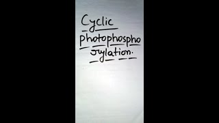 Cyclic Photophosphorylation [upl. by Juieta]