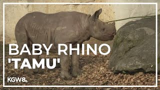 Meet Tamu the Oregon Zoos new baby rhino  Drew at the Zoo [upl. by Hunley180]