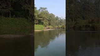 Gharial Crocodile Close View From Dugout Canoe In Dhungree River At CNP Typical Canoe Safari [upl. by Esetal]