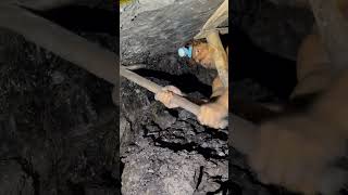 Amazing Process of Coal mining shorts amazing [upl. by Swagerty]