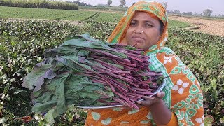 Farm Fresh Sweet Beets Leaves Recipe Red Sabzi Beetroot Leaf Harvesting amp Shrimp Curry Village Food [upl. by Sivra]