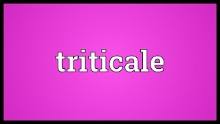 Triticale Meaning [upl. by Akinek]