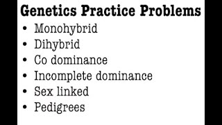 Genetics Practice Problems [upl. by Allit]