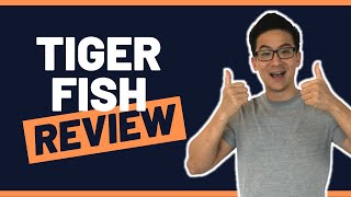 Tigerfish Review  Can You Make Full Time Income From Home By Transcribing Maybe [upl. by Small323]