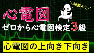 ゼロから心電図検定3級 【上向き下向き】【極性】 [upl. by Oler]