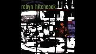 Robyn Hitchcock  Where Do You Go When You Die [upl. by Julius]