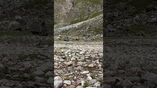 Crossing stone field running barefoot [upl. by Acker]