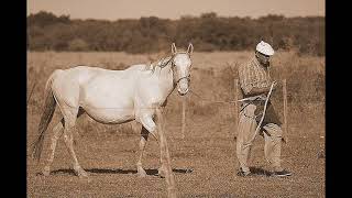 HERMANOS CUESTAS  ENTRERRIANO Y DE A CABALLO  CHAMARRITA [upl. by Ronnica852]