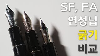 플래티넘 센츄리 sf 파이롯트 커스텀74 sf amp 커스텀743 fa 비교 리뷰reviewcomparing [upl. by Salohci]