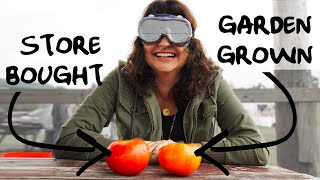 Can gardeners be fooled Tomato Taste Test with Roots and Refuge [upl. by Madanhoj541]