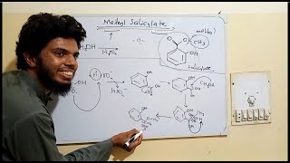 Methyl Salicylate synthesis mechanism [upl. by Domeniga]