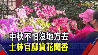 中秋賞花趣 士林官邸蘭花展陽明山芒花盛開浪漫台北玫瑰園｜非凡新聞｜20210919 [upl. by Valdis]