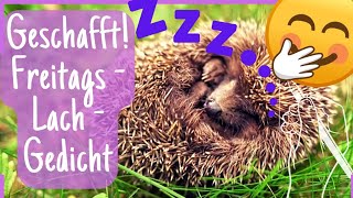 ENDLICH FREITAG  🦊 Lustige Grüße 🤣 für dein Wochenende zum Teilen [upl. by Geralda809]