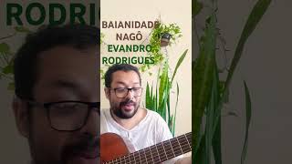 Baianidade Nagô  Evandro Rodrigues [upl. by Haskell]