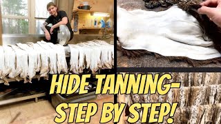 How to tan a deer hide for taxidermy [upl. by Kassab116]