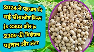 Soybean new variety 2024  Soybean new variety js 2303 aur js 2309 ki jankari [upl. by Ettenotna]