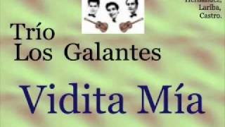 Trío Los Galantes Vidita Mía  letra y acordes [upl. by Bria]