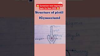 😱reproduction in flowering plants class 12GynoeciumPistilstructure shortsbiologycbscneet 📝❤️ [upl. by Pelpel]