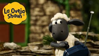 La Oveja Shaun 🐑 Ovejas a control remoto 🐑 Dibujos animados para niños [upl. by Repinuj]