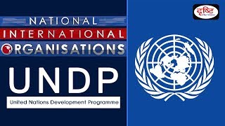 UNDP  NationalInternational Organisation [upl. by Artur]