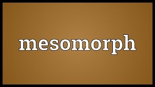 Mesomorph Meaning [upl. by Supple]