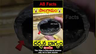 🙏సాలగ్రామం🙏 Mahavishnu roopam in shaligram telugufacts vishnupuran shorts youtubeshorts abfacts [upl. by Dias622]