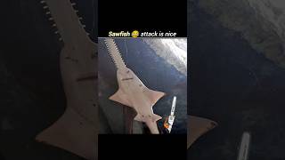 quot Sawfish quot  Fact Portal  shorts [upl. by Latif]