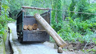 Proses Logging Penebangan Muat Kayu Jati Gelondongan Keatas Truk Dengan Tali Tambang [upl. by Kelcey793]