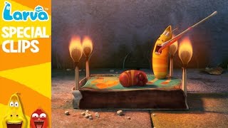 Official LARVA Weekly Best  Funny Animation Compilation  Week 4 NOV 2016 [upl. by Gates]