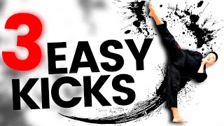 TAEKWONDO KICKS FOR BEGINNERS  3 Easy Kicks ANYONE Can Do [upl. by Messab596]