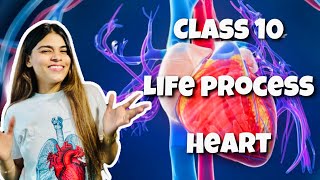 CLASS 10  LIFE PROCESS  TRANSPORTATION  HUMAN HEART [upl. by Kopple879]