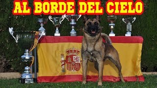 Un adiestrador español con su perro al borde del cielo [upl. by Enirehtahc]