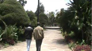 Addis Ababa University Campus [upl. by Nyladnewg]