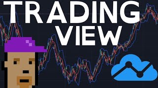 Learn Trading View’s Pine Script in 93 mins [upl. by Hazen]