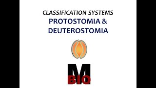 CLASSIFICATION SYSTEMSPROTOSTOMIA amp DEUTEROSTOMIA [upl. by Eileme947]